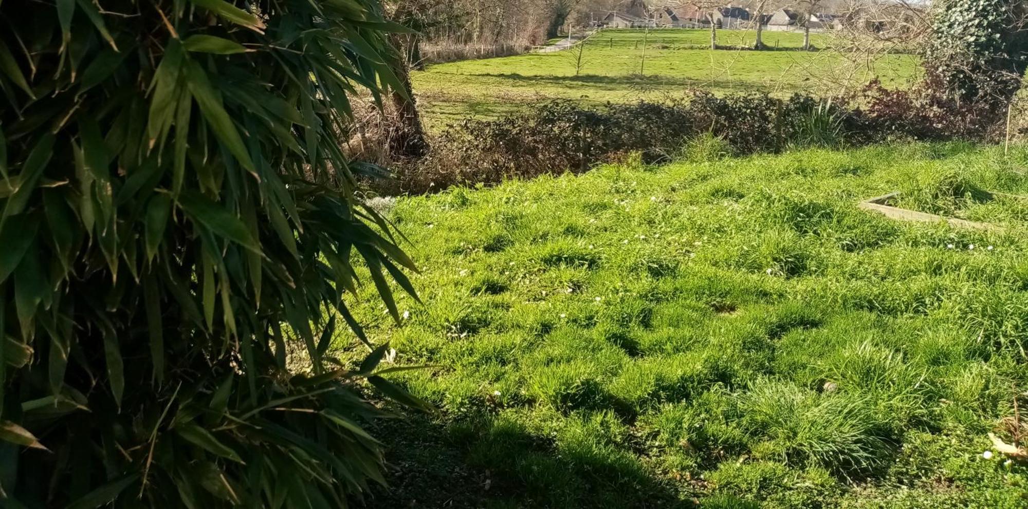 La Campagne Au Bord De La Mer, Chambre Chez L'Habitant Champeaux Bagian luar foto