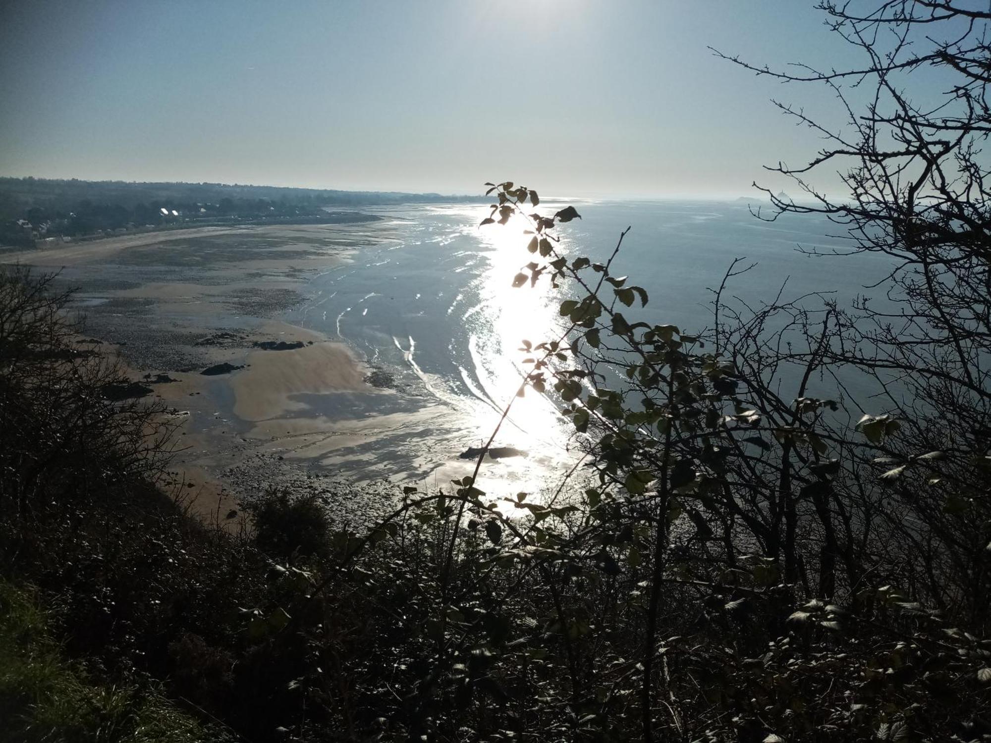 La Campagne Au Bord De La Mer, Chambre Chez L'Habitant Champeaux Bagian luar foto